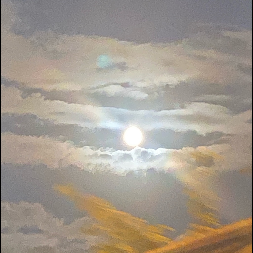 Meet your Posher, Niya